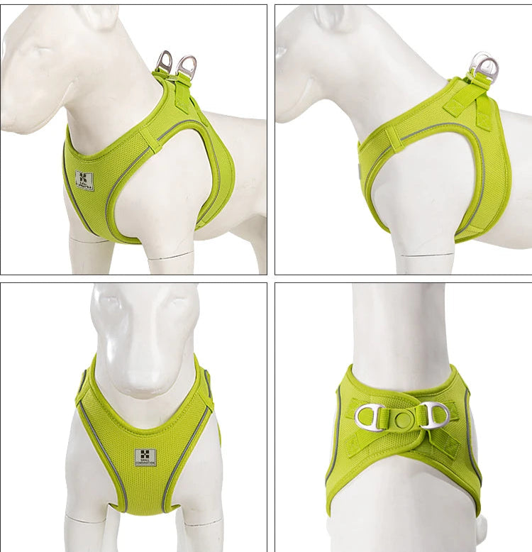 Small Combination - Reflecterende Set met Instaptuigje en Handsfree Riem